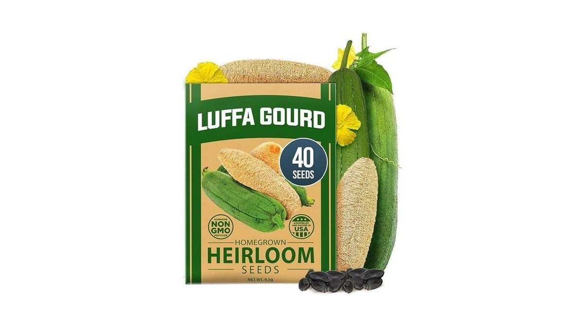 Home Grown Luffa Seeds 40 Heirloom Non-gmo Loofah Gourd Seeds
