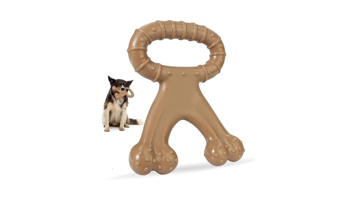 Iptpas Durable Dog Chew Toy For Aggressive Chewers, Indestructible Nylon