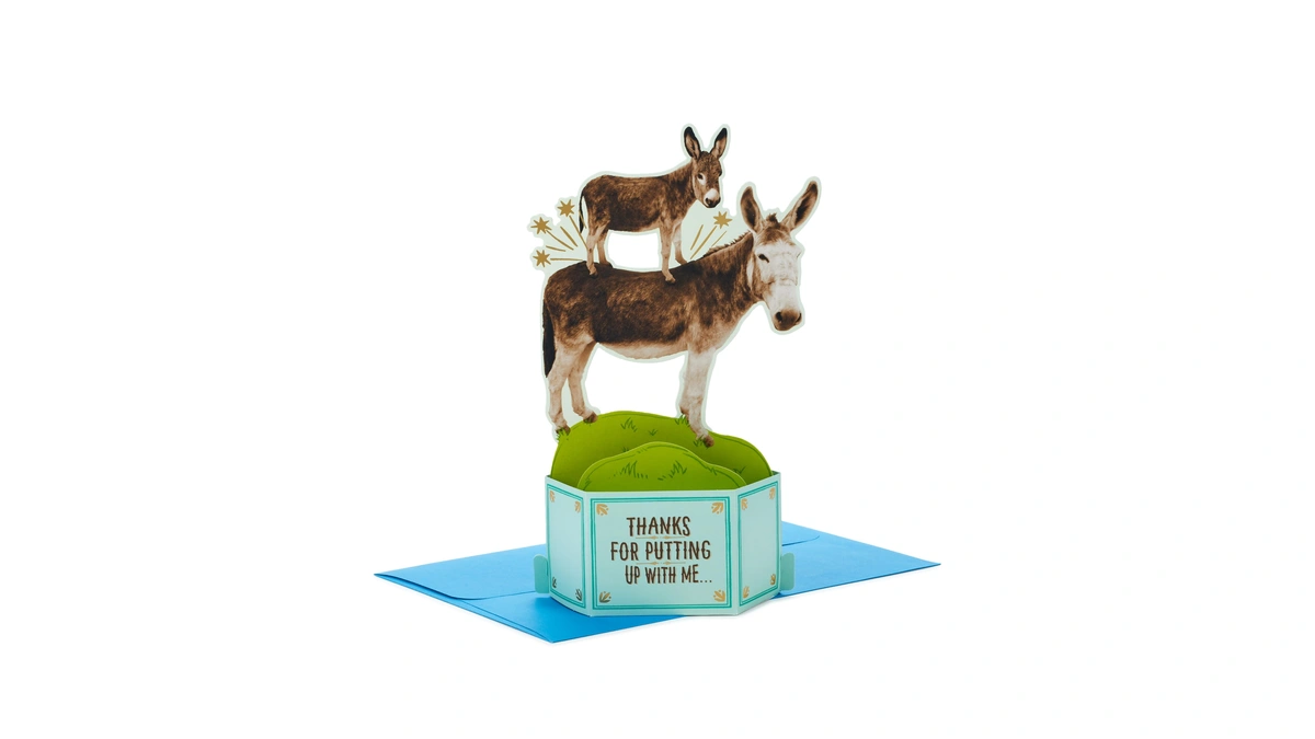 Hallmark Paper Wonder Shoebox Funny Father's Day Pop Up Card