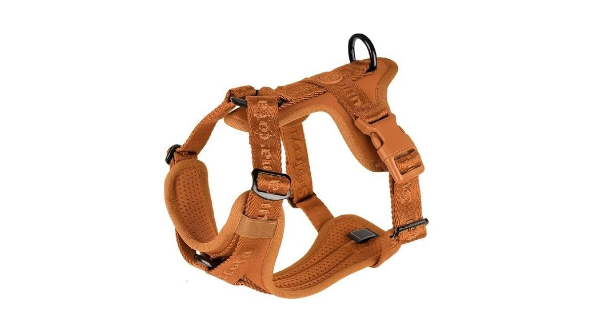 Sunraymascota No Pull Dog Harness With Lycra, Three-point Force Dispersion