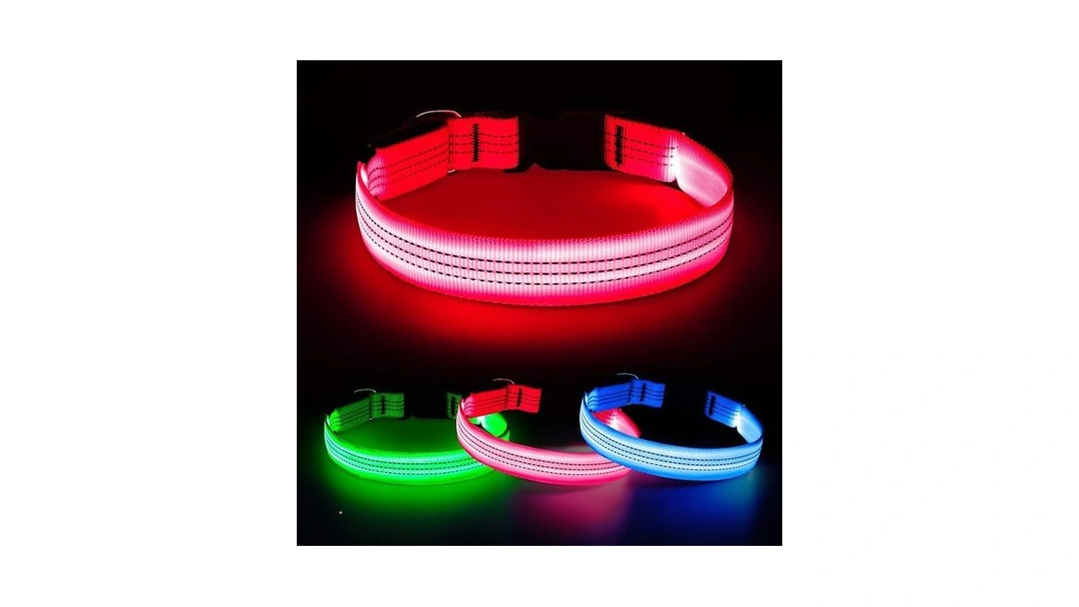 Domiglow Light Up Dog Collar, Usb Rechargeable Reflective Led Pet