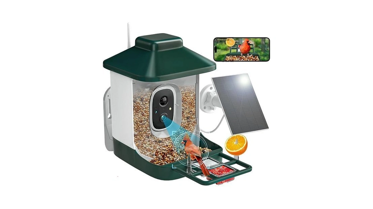 Smart Bird Feeder With Camera, Ai Identify Bi Rd Species