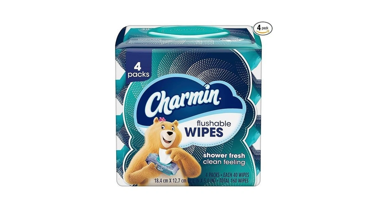 Charmin Flushable Wipes, 160 Total Wipes (4 Packs Of 40)