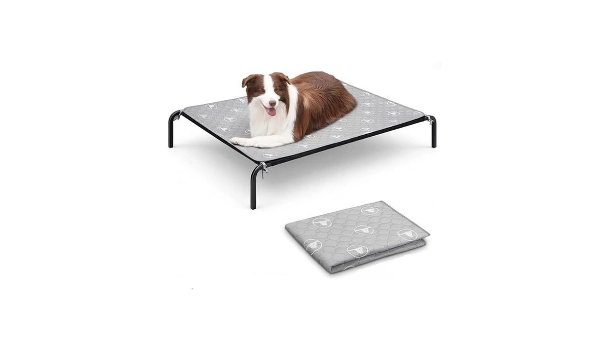 Pjyucien Elevated Dog Bed With Pad For Large Dogs, 48''