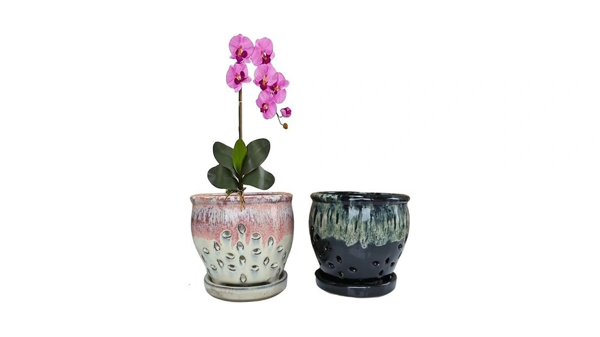 Beitewei 2pcs Small Ceramic Orchid Planter Pots With Holes 4.33inch