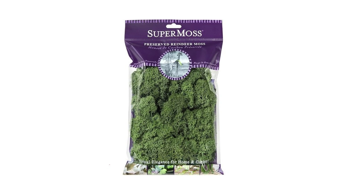 Supermoss (23080) Reindeer Moss Preserved, Basil, 2 Ounces