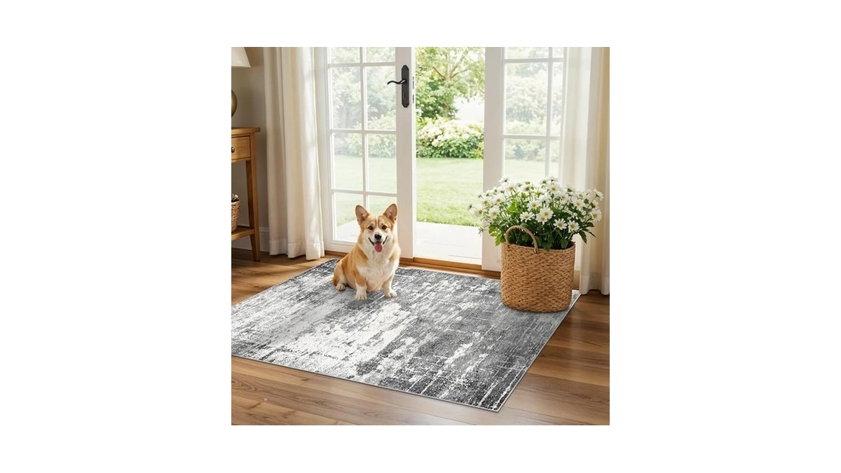 Washable 2x3 Entryway Area Rugs: Abstract Water Resistant Kitchen Rug