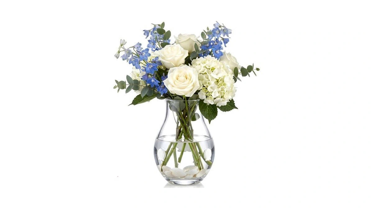 Ferrochef 1 Pcs Coastal Glasses Flower Vase,nautical Shell Icon Flower