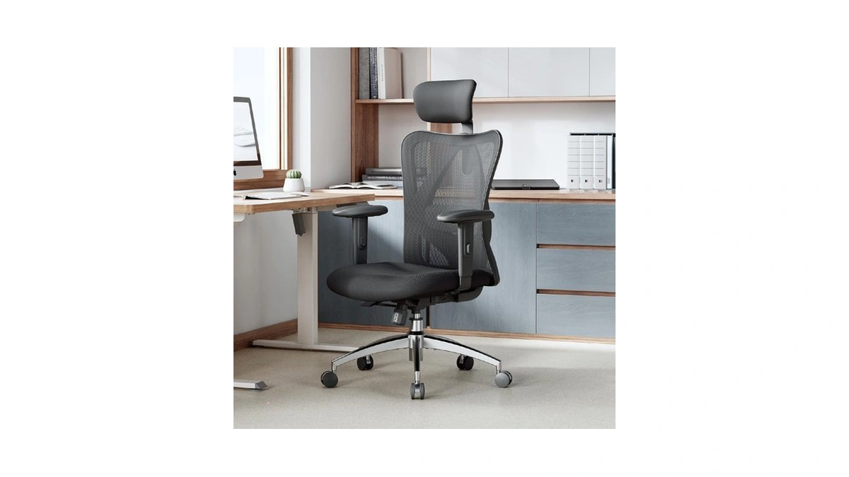 Sihoo M18 Ergonomic Office Chair, Adjustable Headrest & Lumbar Support,