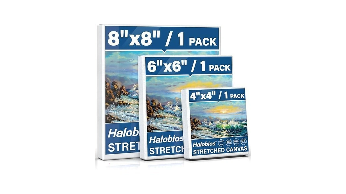 Halobios 3 Packs Stretched Canvases For Painting With 4x4 Inch,
