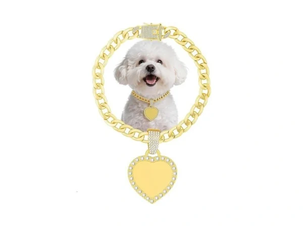 Kynox Cuban Gold Link Heavy Duty Necklace Dog Cat Collar