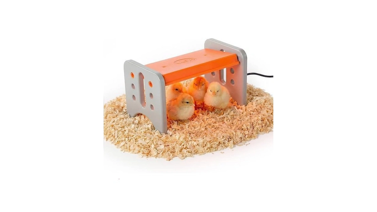 K&h Pet Products Chicken Brooder Heater For Chicks Ducklings, Adjustable