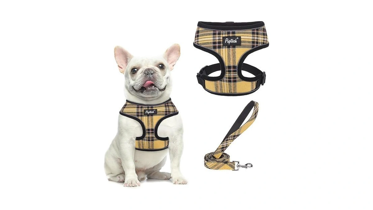 Pupteck Soft Mesh Dog Harness And Leash Set Pet Puppy