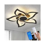 Huixute 24" Modern Geometric Ceiling Light Fixture, Black Dimmable 3