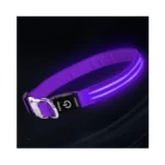 Led Dog Collar With Metal Buckle - Usb Rechargeable Glow