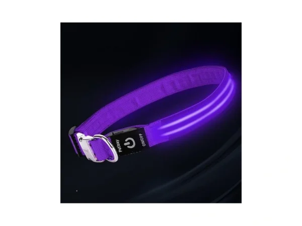Led Dog Collar With Metal Buckle - Usb Rechargeable Glow