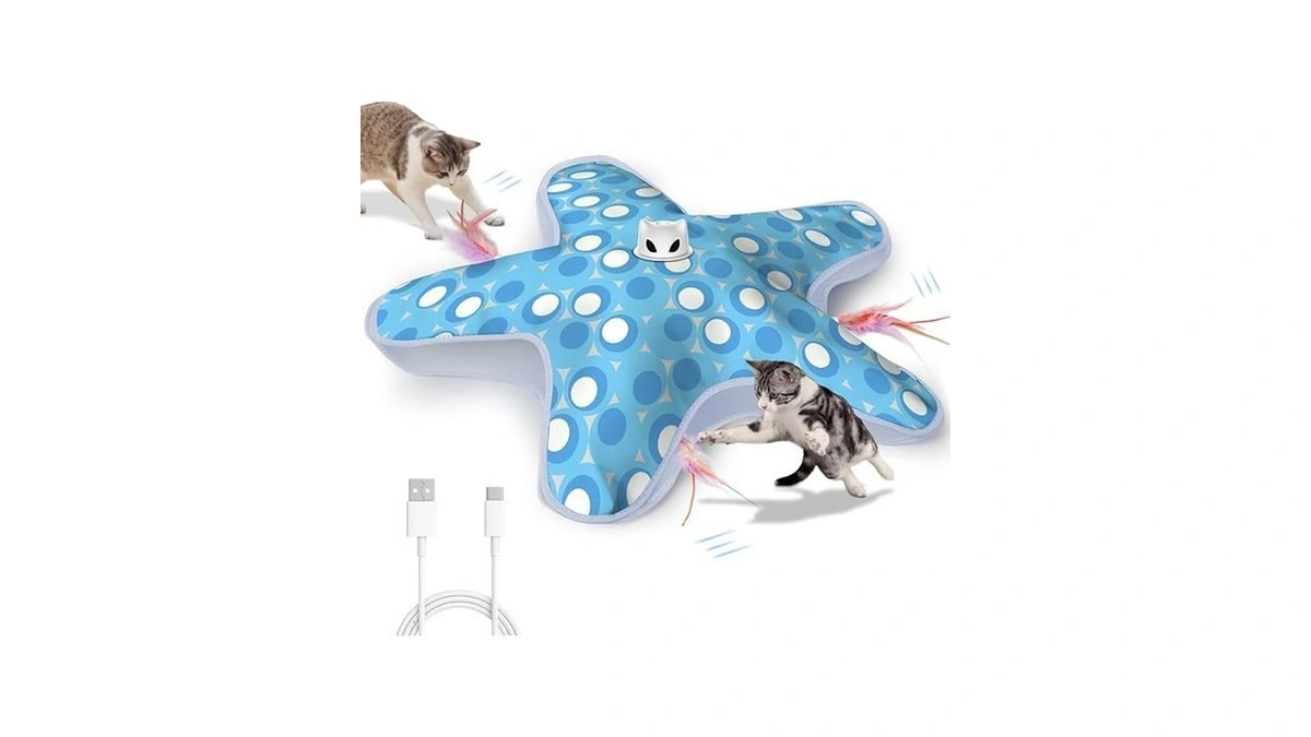 Rechargeable Interactive Cat Toys, Automatic Cat Toy For Indoor Cats,