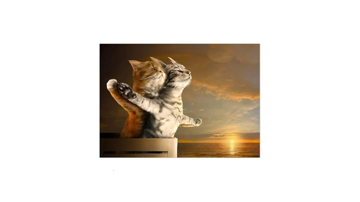 Funny Cats Titanic Cute Animal Canvas For Bathroom Decor Sea