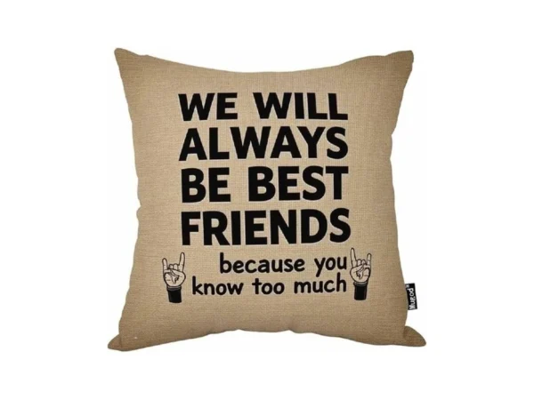 Mugod Best Friends Forever Decorative Throw Pillow Cover Case We