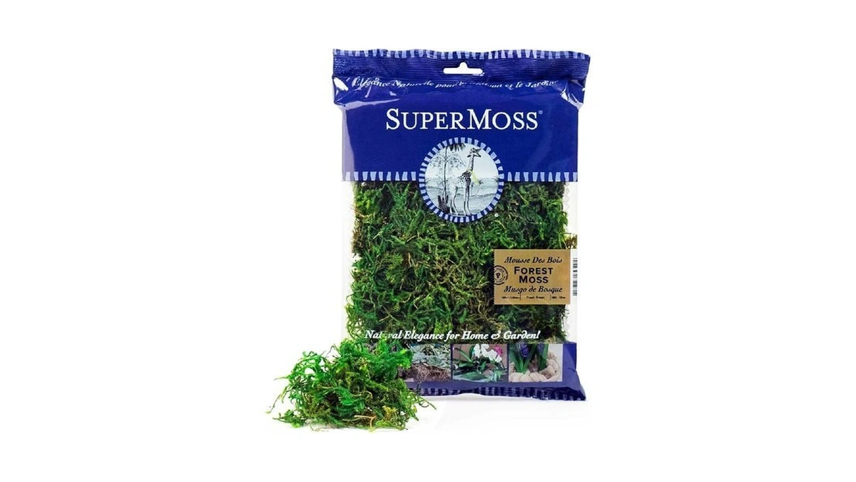 Supermoss (25320) Forest Moss Preserved, Fresh Green, 2oz