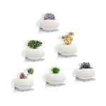 Niubest Small Floating Shelf, 5x5 Inch Wall Mounted Mini Shelf,