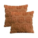 Vfuty Fall Decorative Pillow Cover 18x18 Set Of 2 Autumn