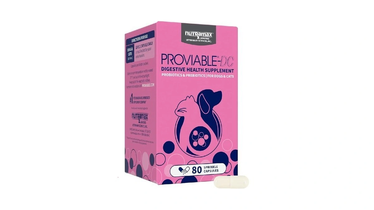 Nutramax Proviable Probiotics For Dogs And Cats, Daily Digestive Health