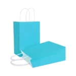 Yadian 20 Kraft Paper Gift Bags, Blue Party Favor Bags