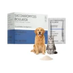 Probiotics For Dogs & Cats, Cat & Dog Probiotics For
