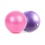 Nononfish Mini Exercise Barre Ball For Yoga,pilates, Stability Exercise Home