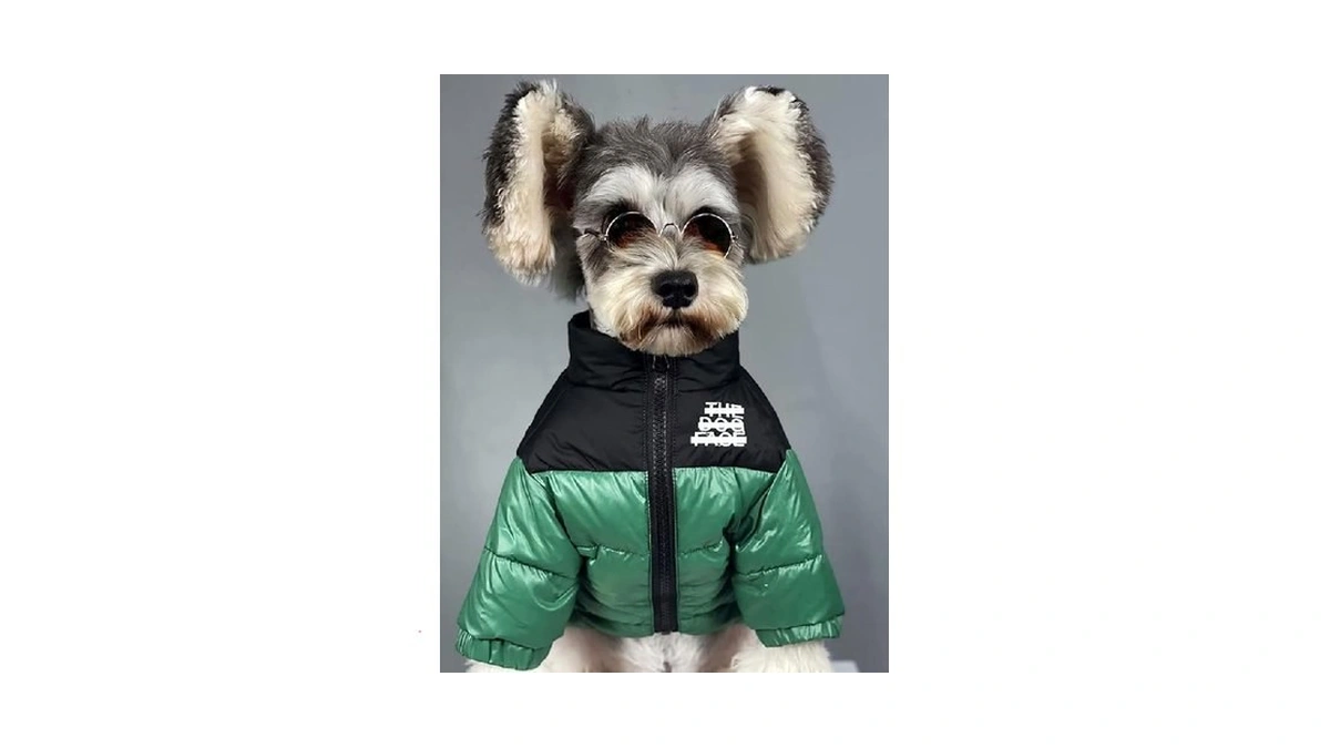 Dog Winter Coat Duck Down Jacket For Small Medium Dogs-thicken