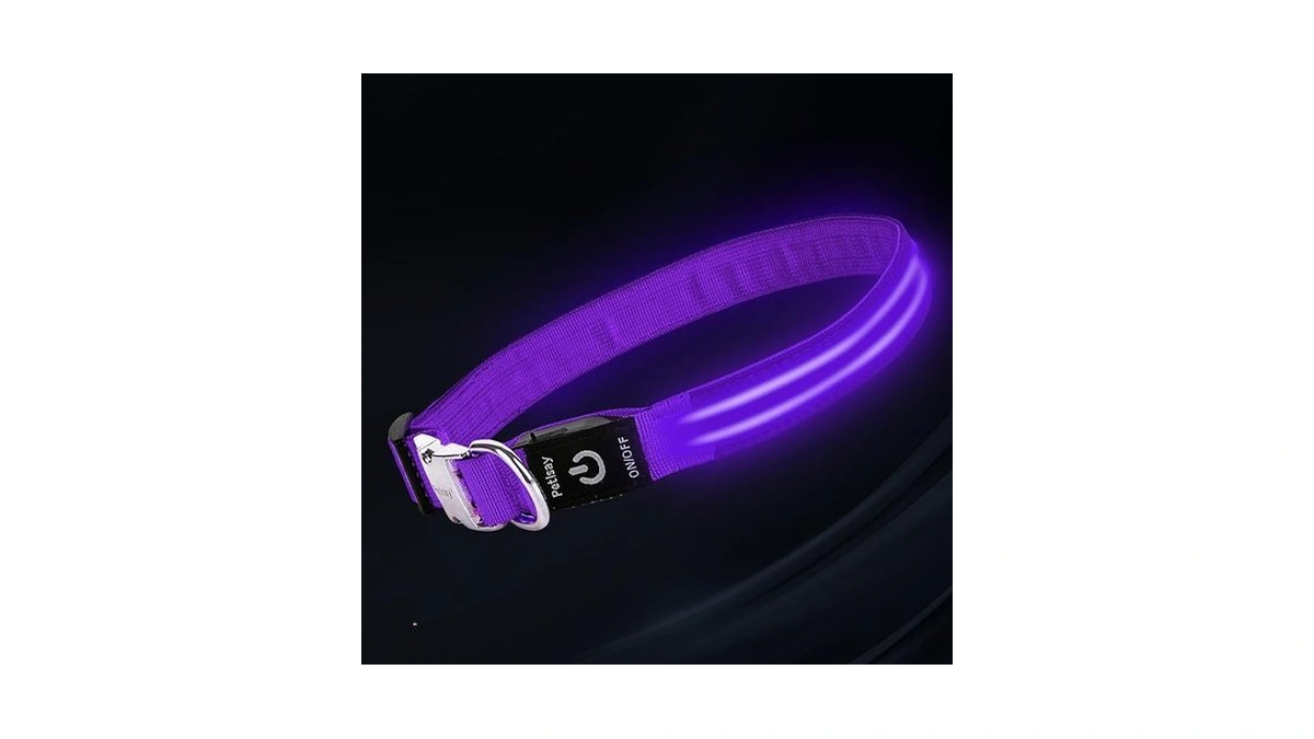 Led Dog Collar With Metal Buckle - Usb Rechargeable Glow