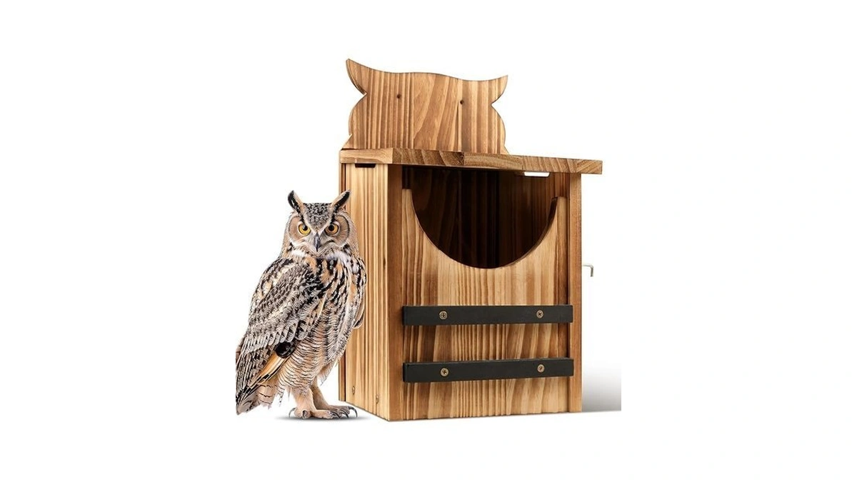 Owl House For Outdoors, Cedar Owl Nesting Box, Durable Carbonized