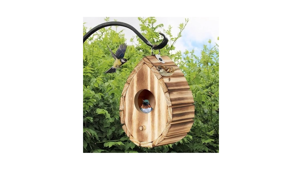 Clackibukvyz Hummingbird House,wooden Birdhouse For Outside,hanging Small Bird Houses,wild Bird