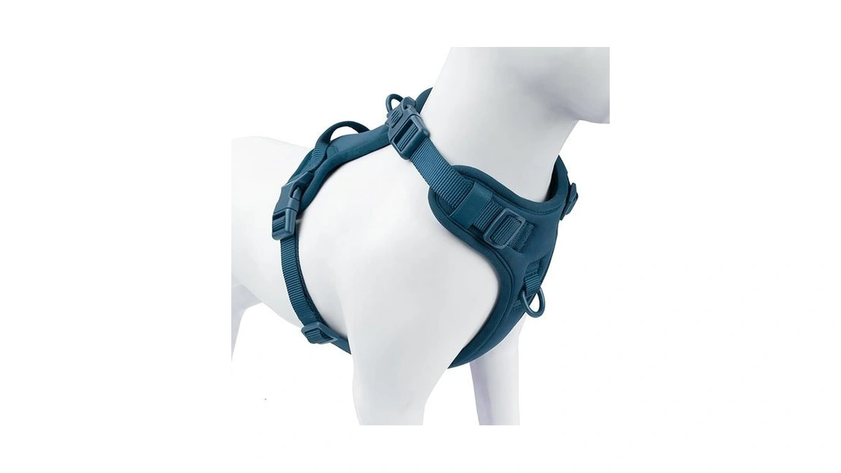 Sunraymascota No Pull Dog Harness, Puppy Vest With Front Clip