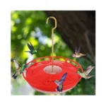 Hummingbird Feeders For Outdoors - No Leak Humming Bird Feeder,