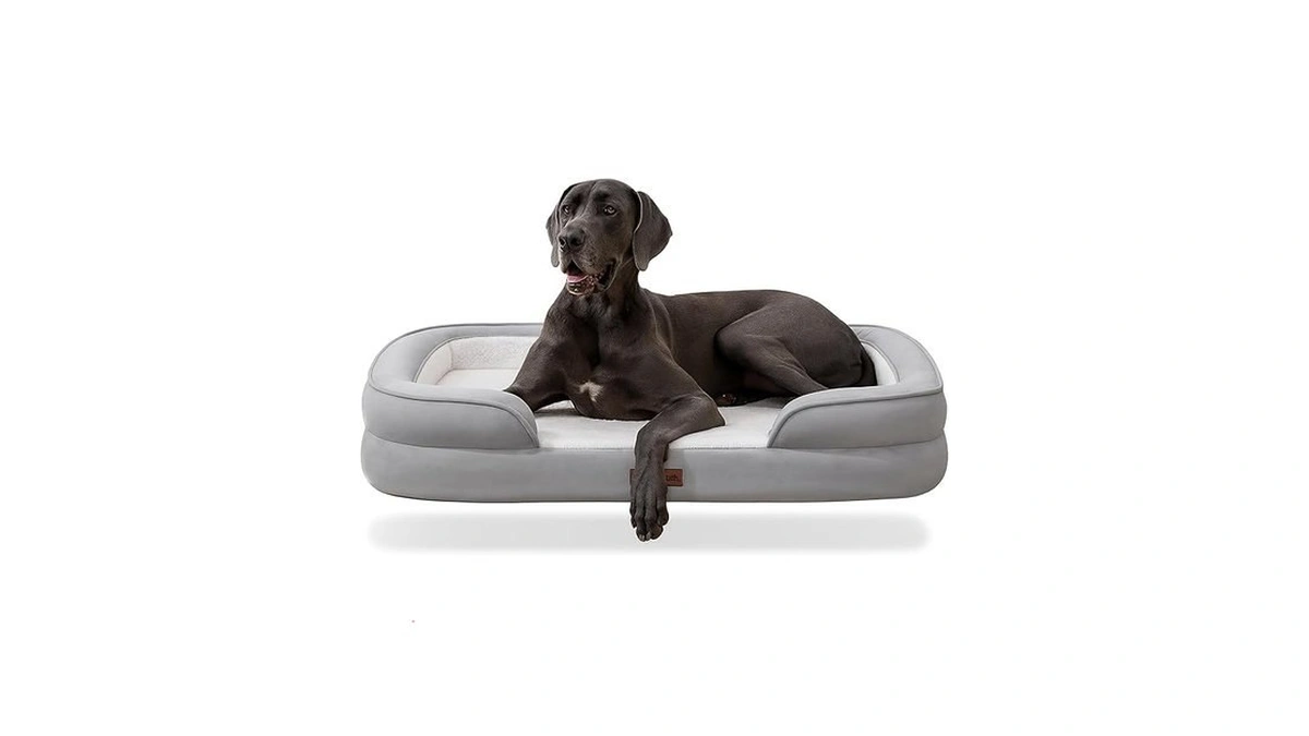 Soft Touch Orthopedic Xl Dog Bed For Large Dogs With