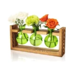 Xxxflower Glass Plant Terrarium Propagation Station, Gifts For Mom Plant