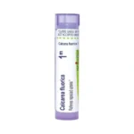 Boiron Calcarea Fluorica 1m For Repeated Sprains - 80 Pellets