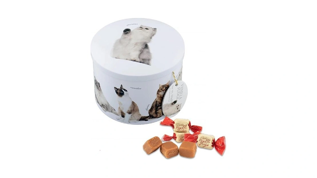 Gardiners Of Scotland Handmade Fudge, Cats Vanilla Fudge 7 Ounce