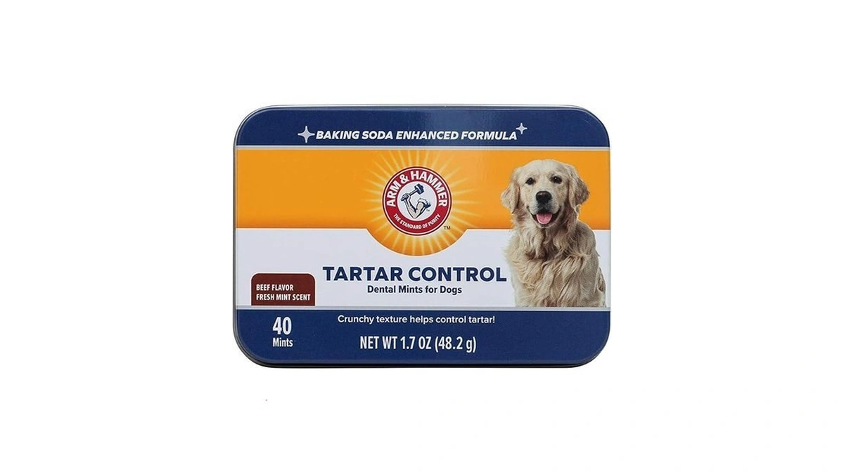 Arm & Hammer For Pets Tartar Control Dental Mints For