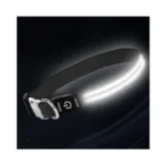 Led Dog Collar With Metal Buckle - Usb Rechargeable Glow