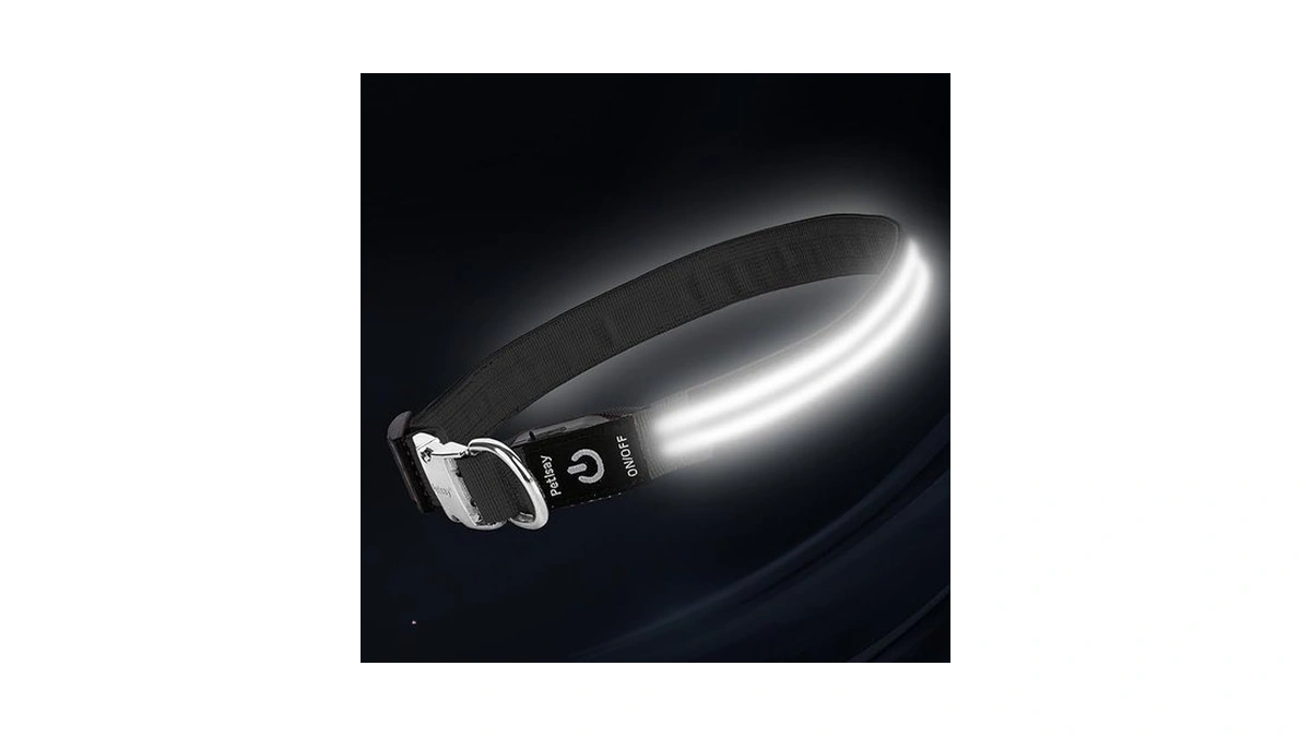 Led Dog Collar With Metal Buckle - Usb Rechargeable Glow