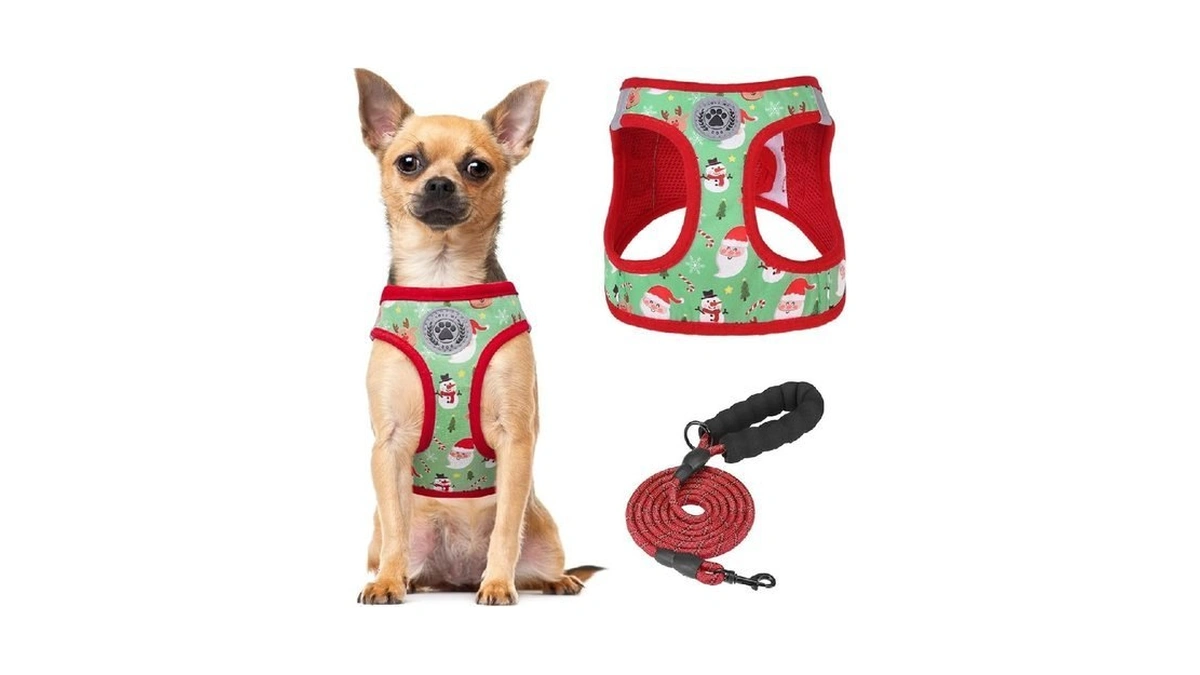 Beautyzoo Step In Dog Harness And Leash Set,reflective Dog Harness
