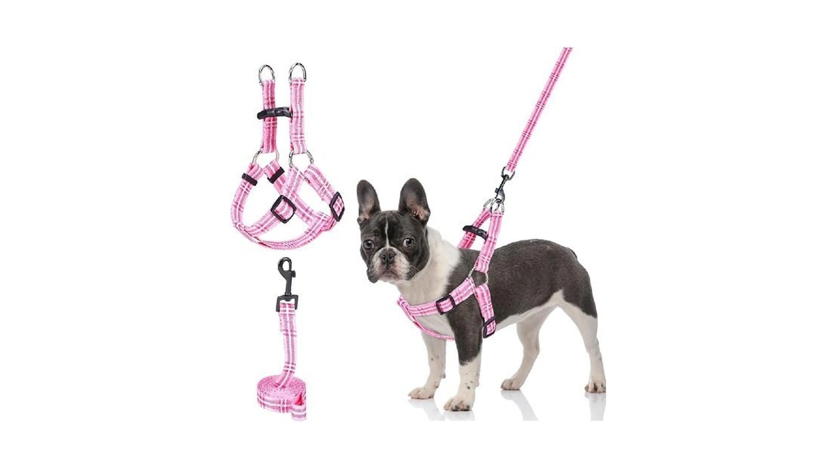 Beautyzoo No Pull Small Dog Harness And Leash Set, No