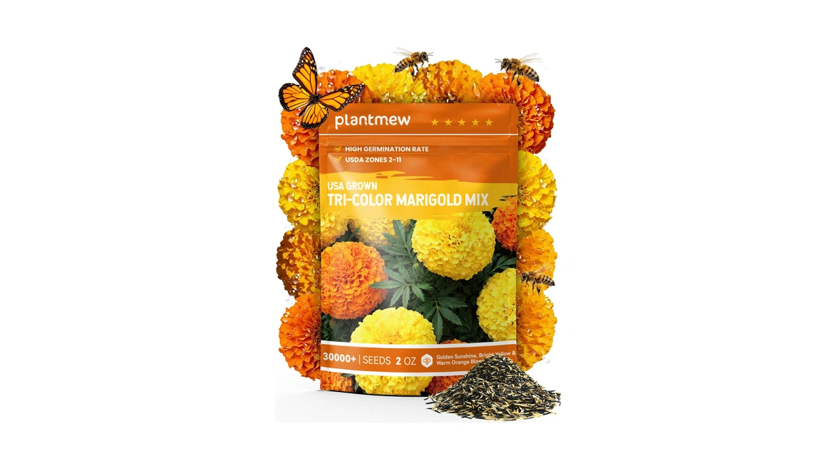 Tri-color Marigold Seeds Bulk - 30,000+ Heirloom Flower Seeds For