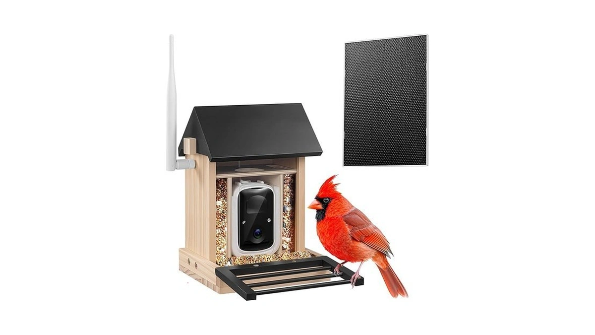 Natural Solid Wood Smart Bird Feeder With Camera — Ai