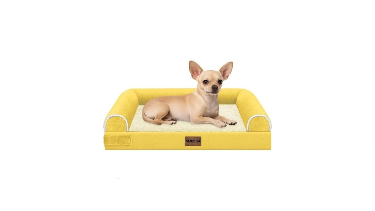 Small Dog Bed Orthopedic Washable: Beds Bolster Small Sized Dogs