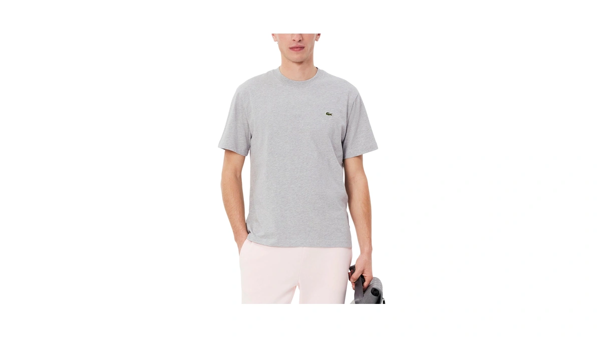 Lacoste Men's Cotton T-shirt, Silver Chine, 4x-large