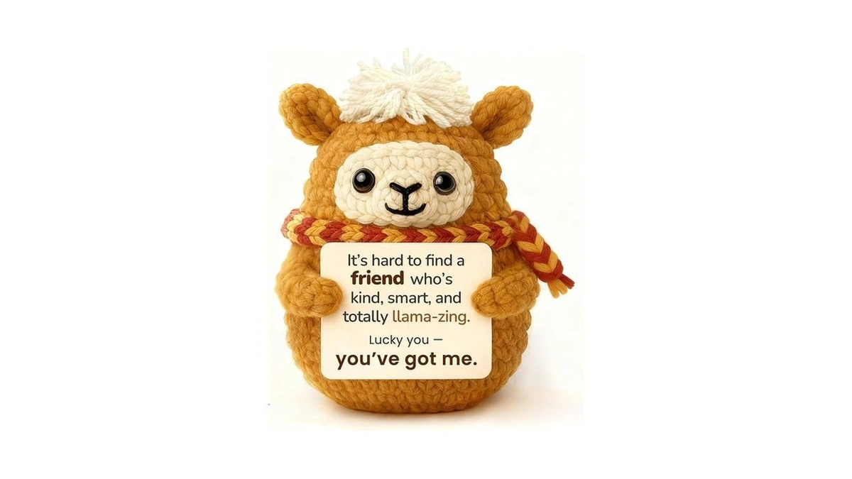 Krinisou Funny Llama Gift For Best Friend, Cute Crochet Llama